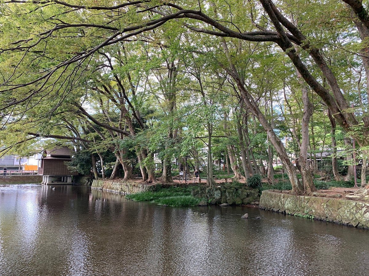🏞️ 시라타키 공원 (白滝公園) 이미지 8